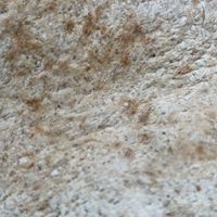 Lebanese Flat Bread  at Dabka in Amsterdam