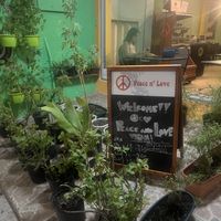 Garden outside   at Vegan Pizzeria in San Juan