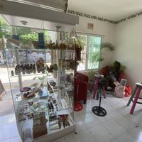 Essential oils, Self-care products & magic 💫 at Diosa Vegana in Playa Del Carmen