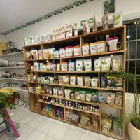   at Diosa Vegana in Playa Del Carmen