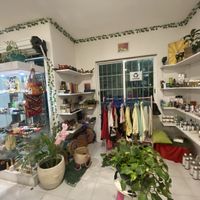   at Diosa Vegana in Playa Del Carmen