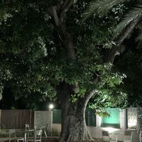 De tuin at Luleå in Alicante