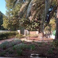 Garden for outdoor dining #Veganuary at Luleå in Alicante