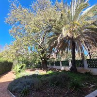 Garten at Luleå in Alicante