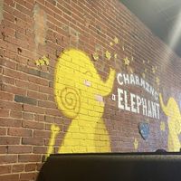   at Charming Elephant in Baltimore