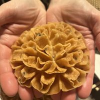   at Charming Elephant in Baltimore