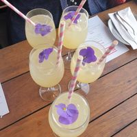 Gin cocktail at Pilgrim Bar in Melbourne