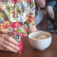 Vegan jelly and icecream: joy! at The Leaping Salmon in Berwick-upon-tweed