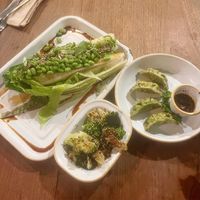   at Umi in Tenby