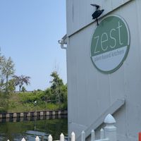   at Zest in Traverse City