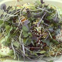   at Zest in Traverse City