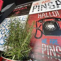 inside  at We Are Pinsa in Hildesheim