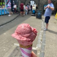 Strawberry at Fecci's in Tenby