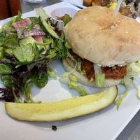   at Daily Planet in Burlington