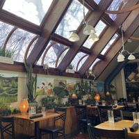 Sunroom  at Daily Planet in Burlington