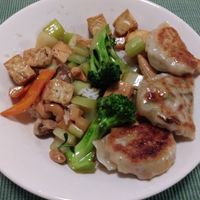 Potstickers!
Cashew Tofu with Veggies at Lotus Garden in Eugene