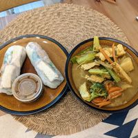 Spring rolls and curry. at Pho Thai Son in Austin