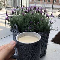 Great oat milk latte! at Aktuel in Aalborg