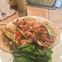 tiger tofu tacos on corn tortillas  at Kayak Kafe - Broughton in Savannah