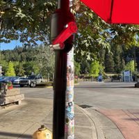   at Morning Glory Cafe in Eugene