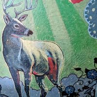 Wall decor at Morning Glory Cafe in Eugene