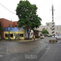  at Morning Glory Cafe in Eugene