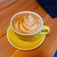  at Copeka Coffee in Palisade