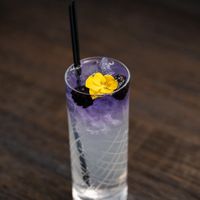 Huckleberry Fizz

Huckleberry vodka, elderflower liqueur, lemon & Sprite with an Empress gin float. at Saffron in Las Vegas