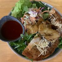 Deep fried mushrooms  at Vega Cafe in Vologda