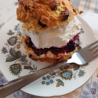 Fruit scone, cream and jam at Honeymans of Bowburn in Durham