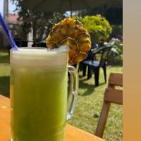 Fresh fruit juices at Girassol Veg in Florianopolis