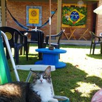 The food is served on this beatiful yard at Girassol Veg in Florianopolis