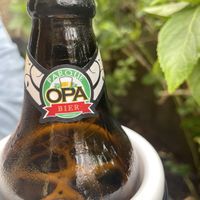   at Girassol Veg in Florianopolis