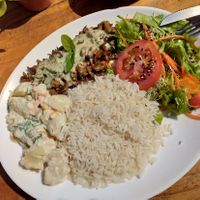 Cogumelos shimeji at Girassol Veg in Florianopolis