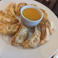 Vegan deep fried Momos at Momo King Nepalese Restaurant and Bar in Swindon