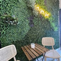 Cutest Cafe 💚🍃 at Long Story Short Cafe in Boca Raton