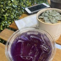 Love this tea 😍 at Long Story Short Cafe in Boca Raton