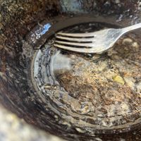   at Kimchibowl  in Malaga