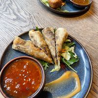 Spring Rolls  at GAO Vegan in Leipzig