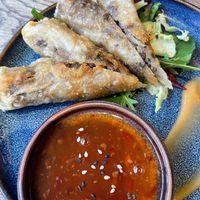 Spring Rolls  at GAO Vegan in Leipzig