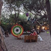 Lago verde at Lago Verde in San Vincenzo