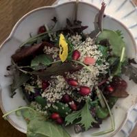 Side salad at Nora's Deli - Sielwall in Bremen