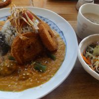 Curry rice plate w/ side salad and soup at Magokoro in Kamakura