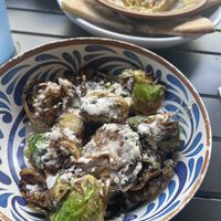   at Falafel x Bar in Jacksonville