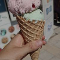  at Lulworth Estate Ice Cream Parlour in Wareham