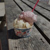  at Lulworth Estate Ice Cream Parlour in Wareham