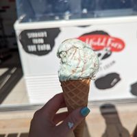  at Lulworth Estate Ice Cream Parlour in Wareham