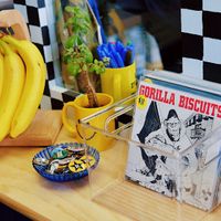 Records for sale inside shop at Guerilla Bizkits in Nashville