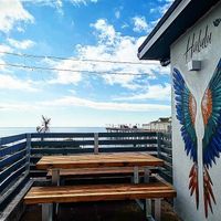   at Halulu in Teignmouth