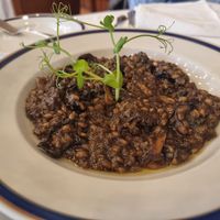  at Mata do Buçaco Bar in Bucaco